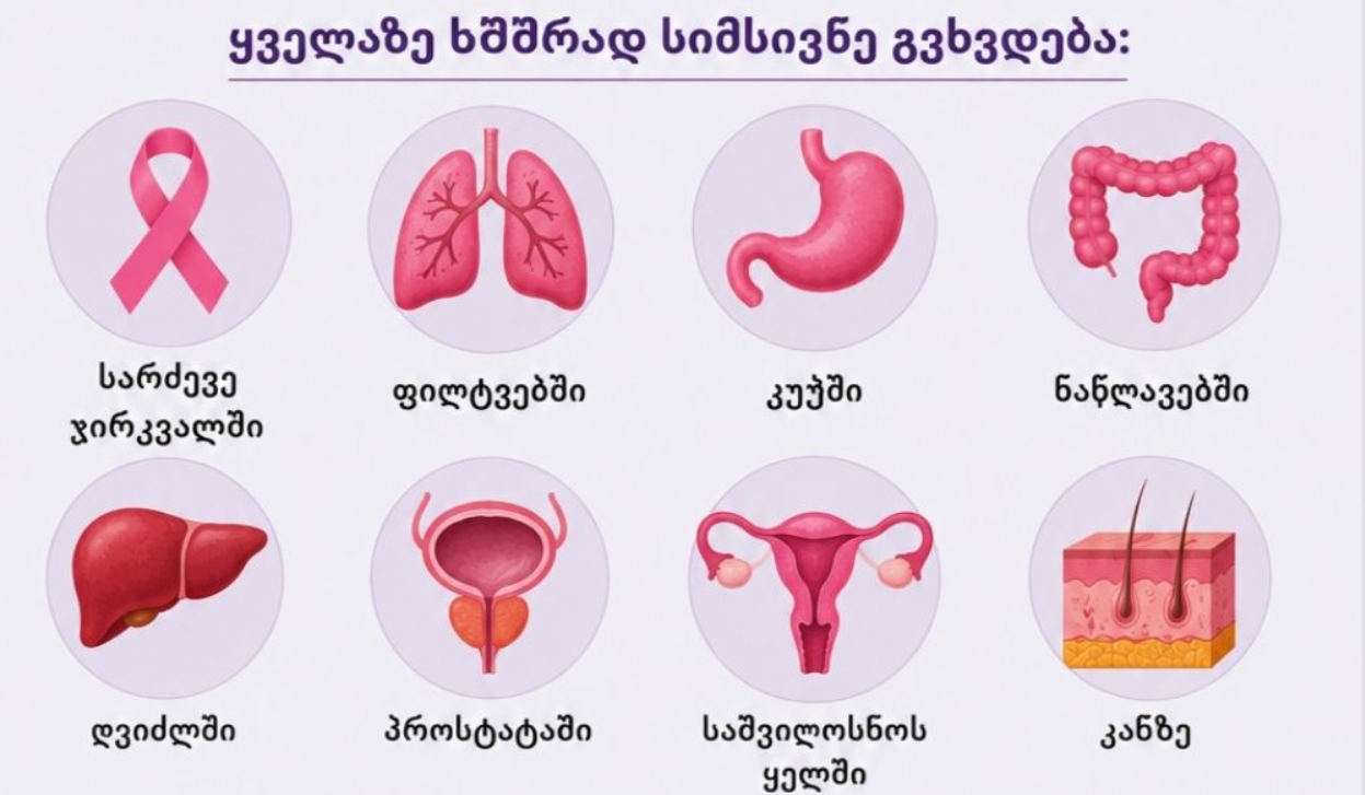 ქაცვი და ღვიძლი